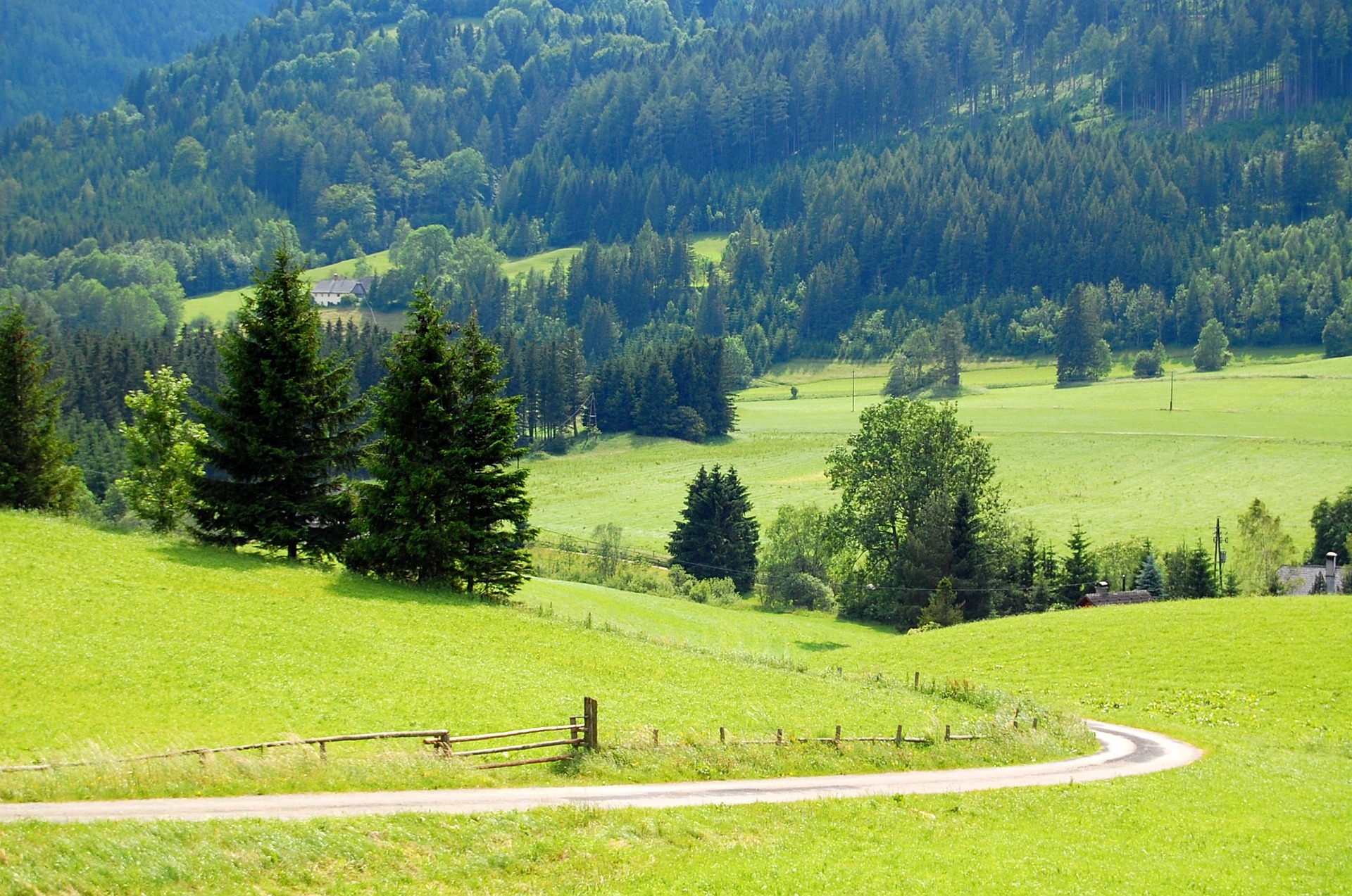 Зеленый луг Австрия