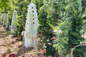 Spring Harmony, United Effort — DAMI Holds Spring Tree Planting and Beautification Event