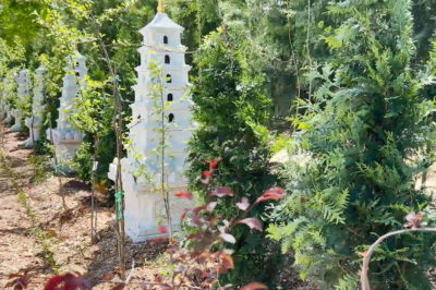 Spring Harmony, United Effort — DAMI Holds Spring Tree Planting and Beautification Event