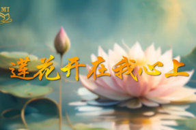 [Dance] A Lotus Blooms in My Heart