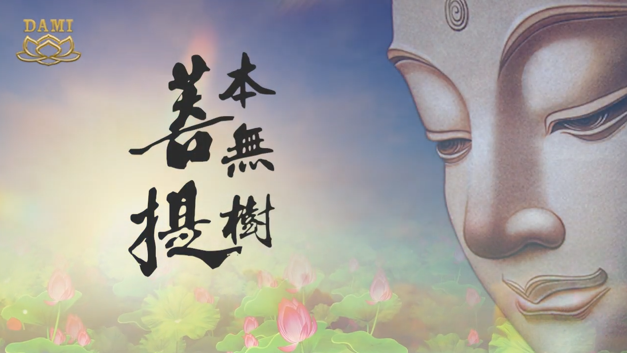 [Dance] Bodhi Is Not a Tree